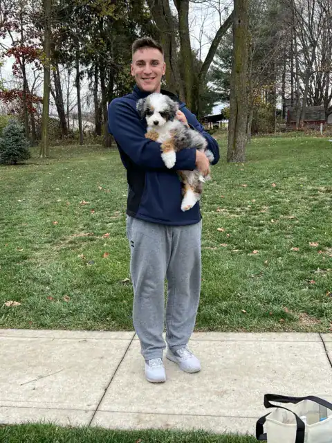 First time family pictures after adopting a new puppy