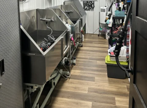 Bathing station at local professional groomer