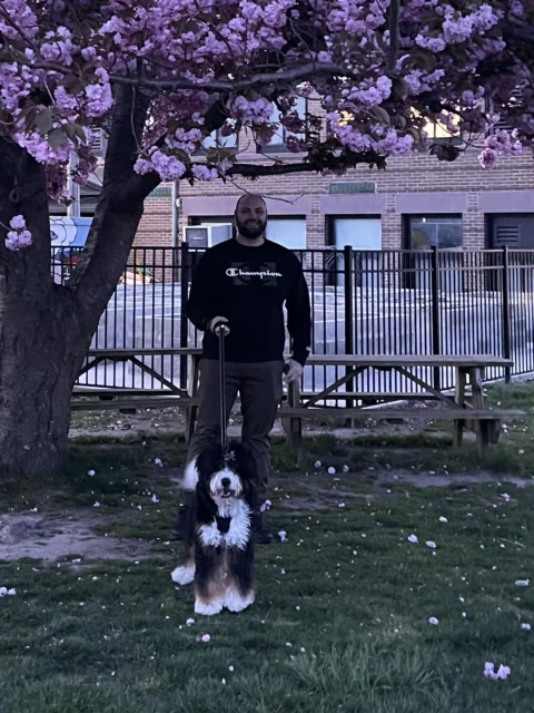 Happy owner with their Bernedoodle