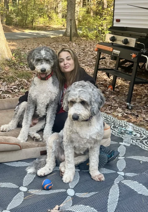Bernedoodle brother and sister sitting with owner outside