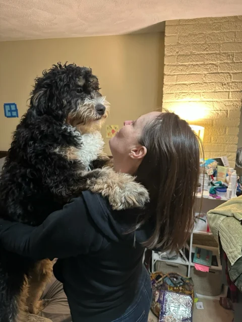 Bernedoodle hugging happy owner