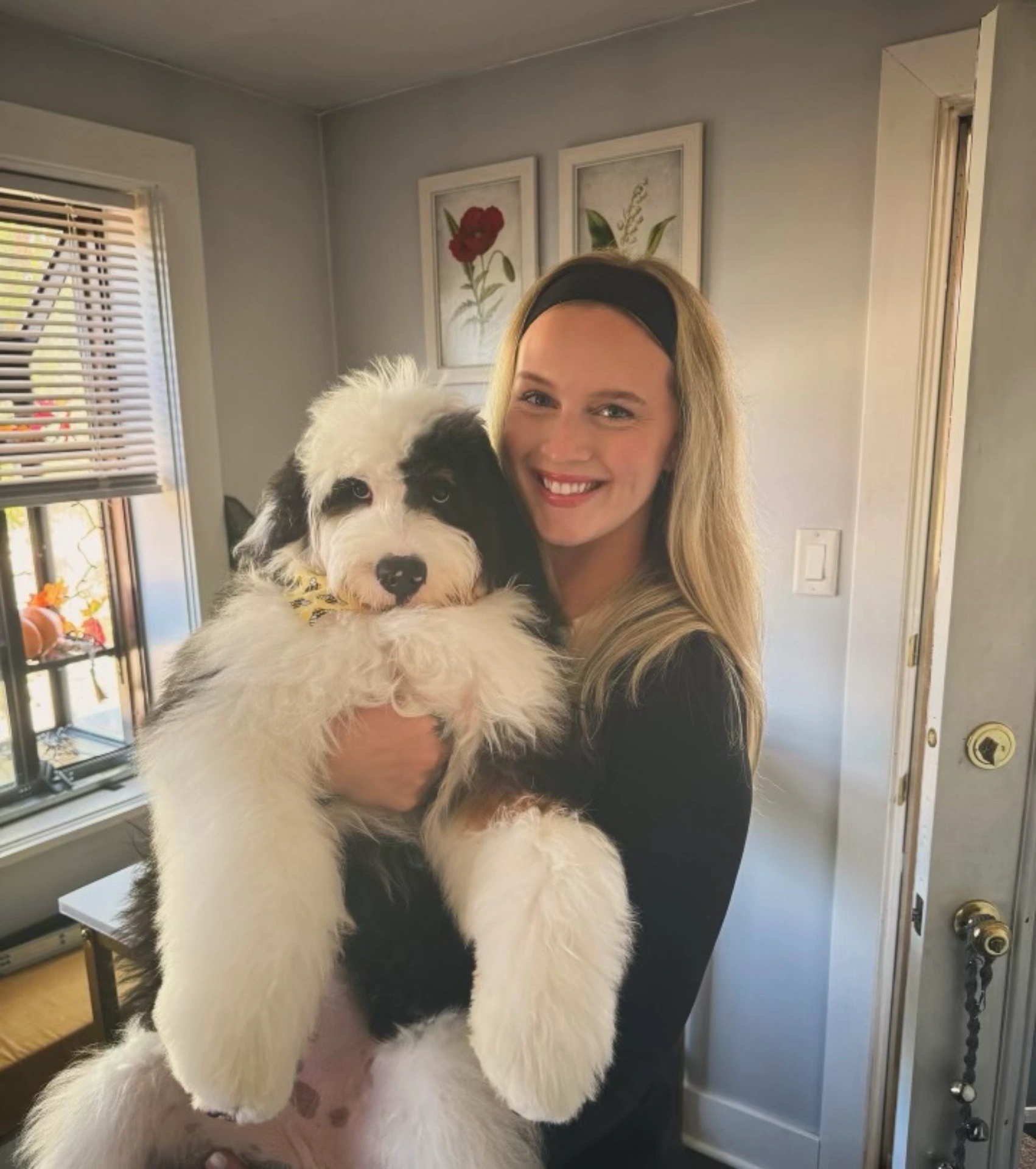 Happy owner hugging her Bernedoodle