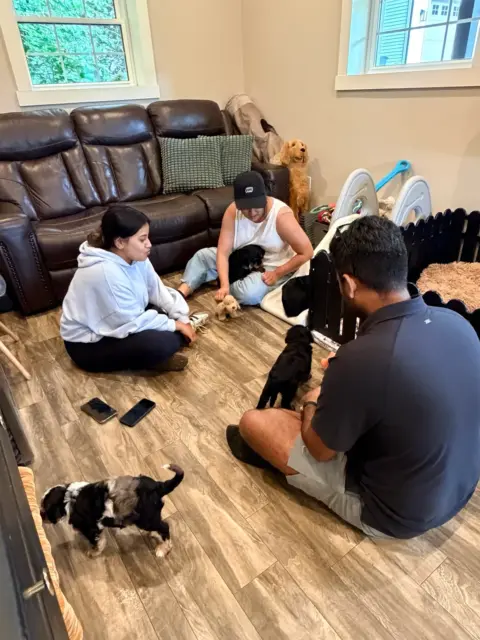 Family playing with puppies to see which one they match with.