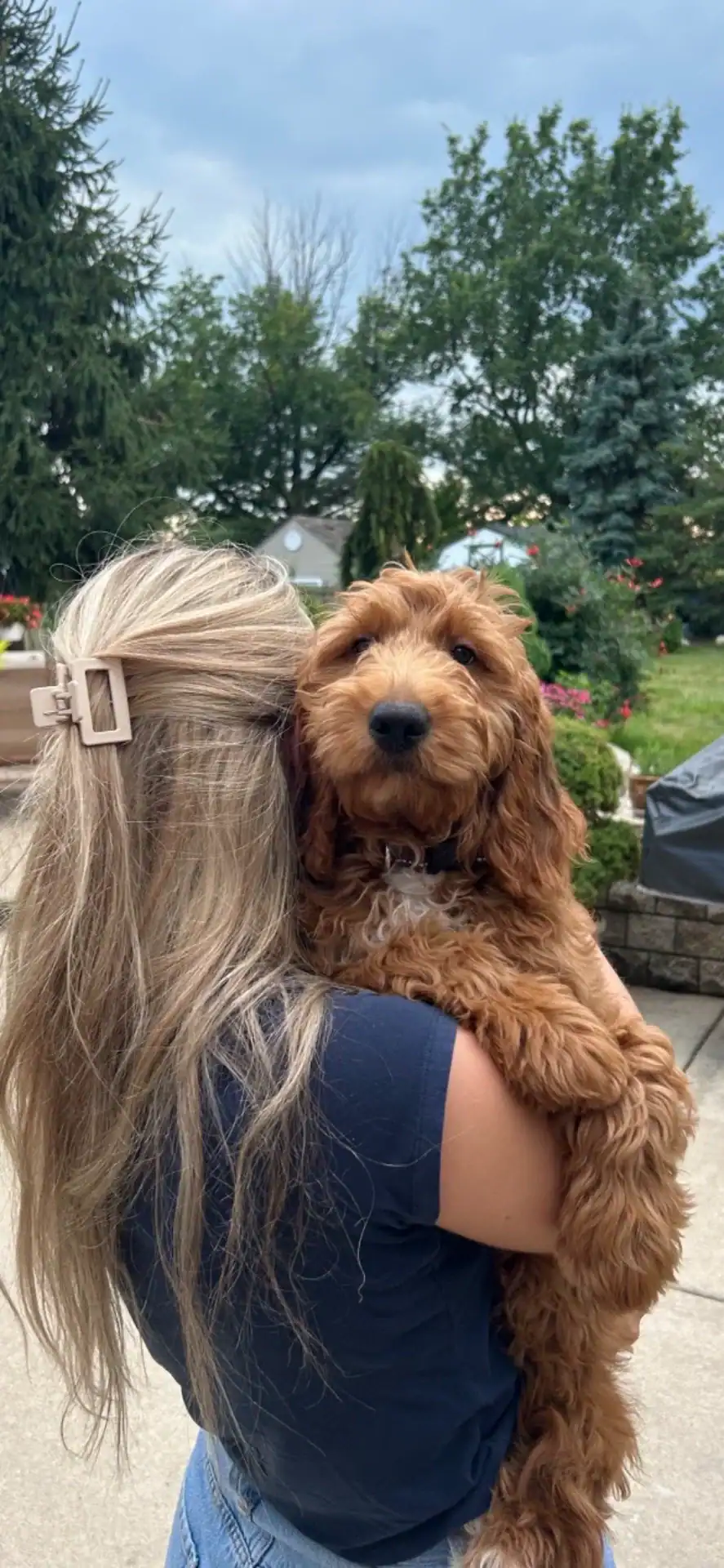Furnished Goldendoodle hugging their Mom