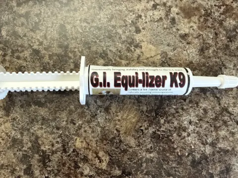 G.I. Equi-lizer probiotic treatment