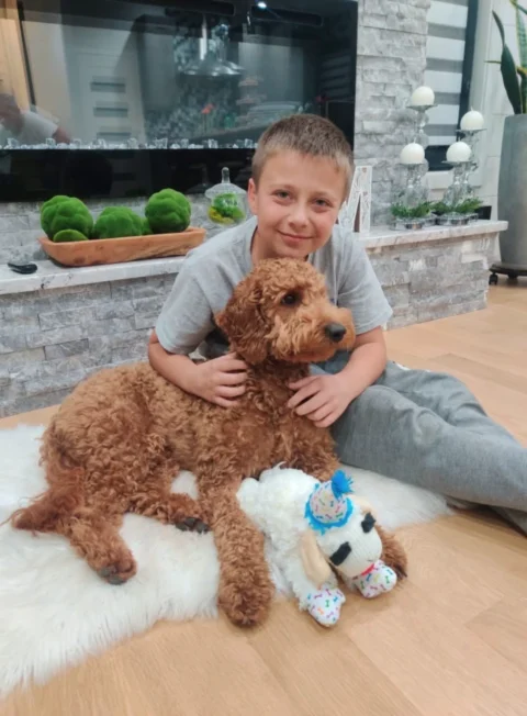 Happy owner with his Goldendoodle