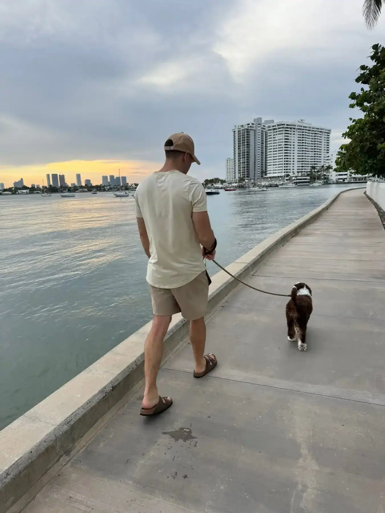 Man walking his Bernedoodle on ocean sidewalk