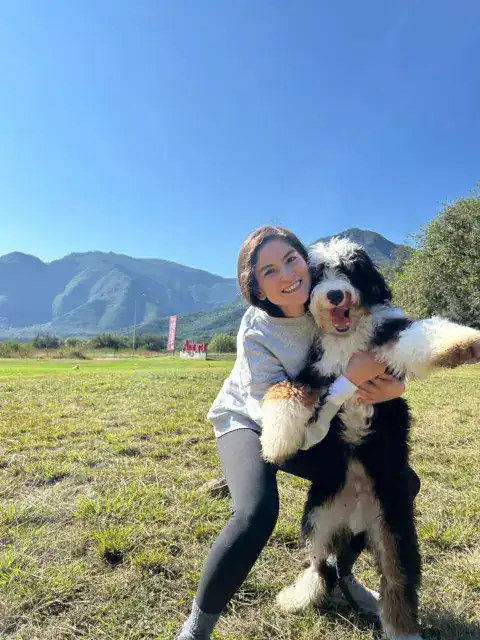 Bernedoodle hugging their mom after playing in the park