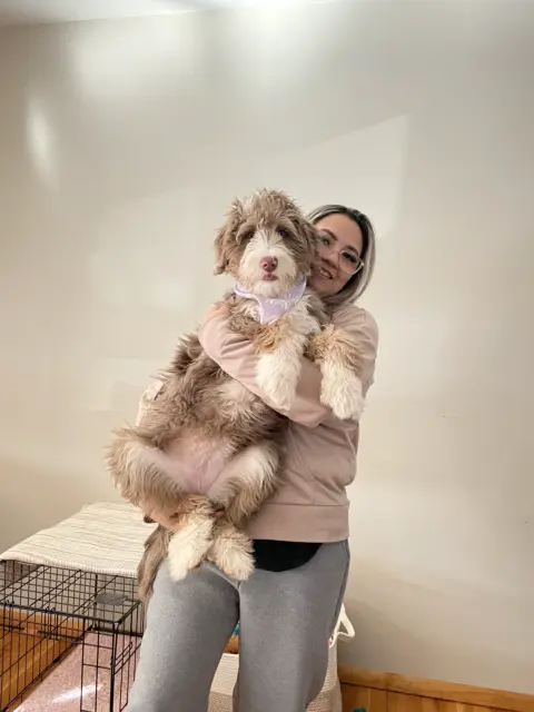 Mom hugging and loving on her Bernedoodle.