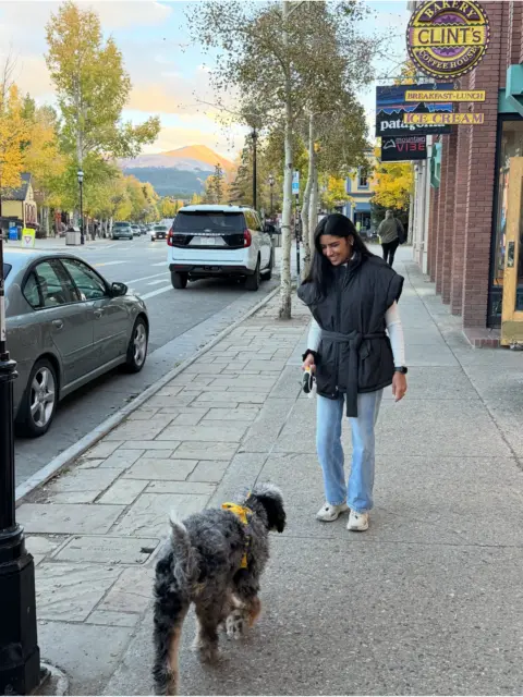 A Bernedoodle trying to convince her mom which store to go into next.