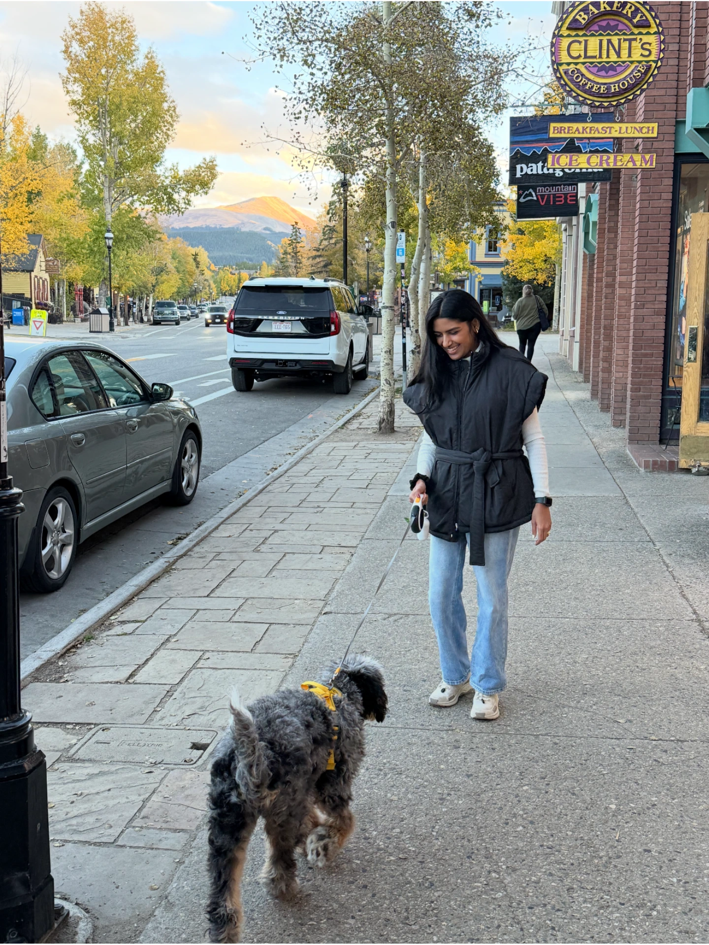 A Bernedoodle trying to convince her mom which store to go into next.