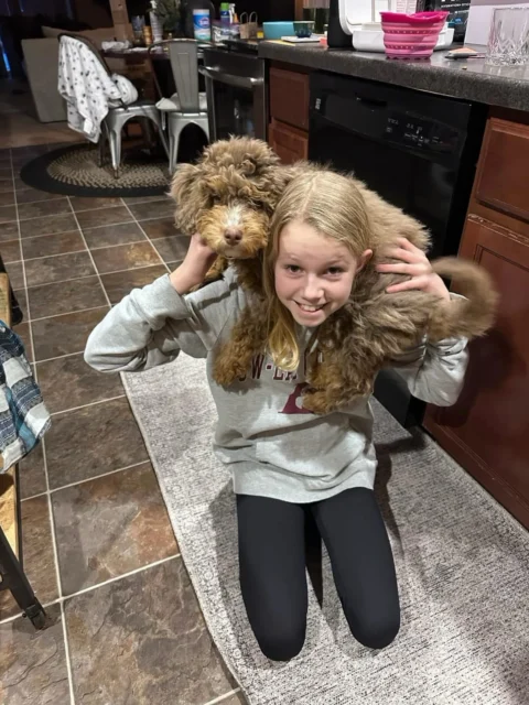 Happy owner giving piggyback ride to their Mini Bernedoodle