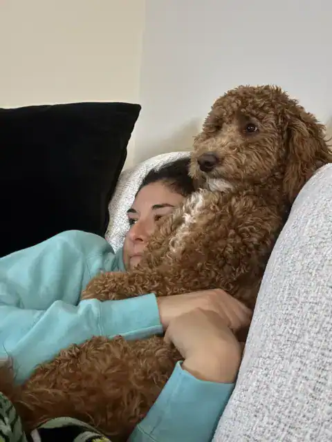 Siblings watching their favorite TV show