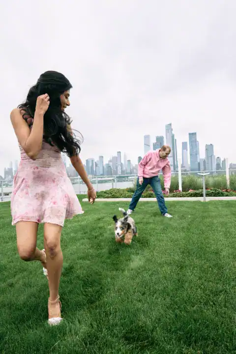 Bernedoodle playing with mom and dad at the park