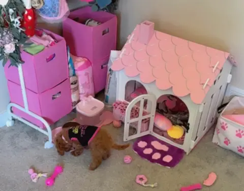 Goldendoodle puppy with a pink playhouse for a crate.