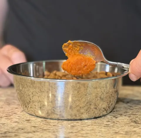 Canned pumpkin be added to kibble dog food.