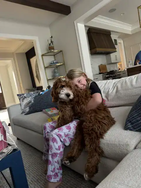 Siblings cuddling on the couch.