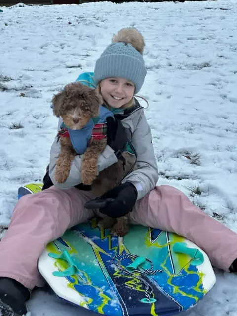 Bernedoodle and her sister playing in the snow.